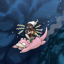 corsolanite:  POKÉMON HM &amp; TM MOVES  Cut (HM01)  Fly (HM02)  Surf (HM03) Strength (HM04) Waterfall (HM05)  Dive(HM06)  Defog (TM70)  Flash (TM70)  Whirlpool (HM05 in HGSS) Rock climb ( HM08) 