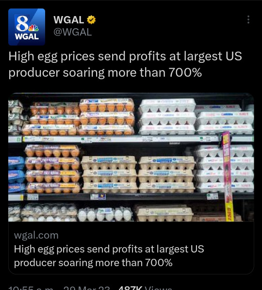 prismatic-bell:shadow-banned-the-hedgehog:shadow-banned-the-hedgehog:When even eggs and bread are a luxury, the only thing left is eating the rich. Every profit made on basic necessities is theft. Taking from the working class and giving to the obscene