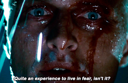 Selinas:blade Runner1982 | Dir. Ridley Scott