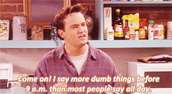 mbthecool:  This is why Chandler Bing is our spirit animal. 