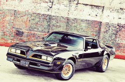 nygiantsrock:  1978 Trans Am 