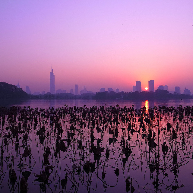    XuanWu Lake NanJing China (by 刁伟伟) 