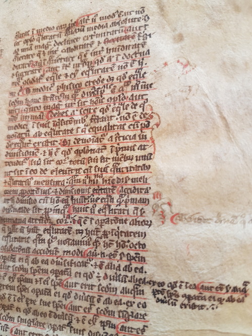 LJS 359 - Liber CanonisWritten in England, between 1250 and 1299 CE, this manuscript features some s