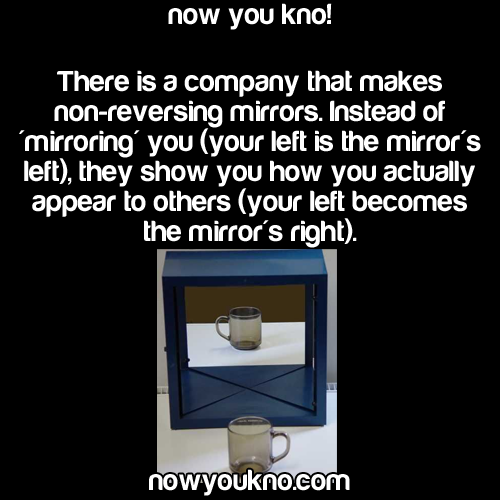 nowyoukno:  (Source) More Facts Here   omg physics. Let&rsquo;s use the 1/s
