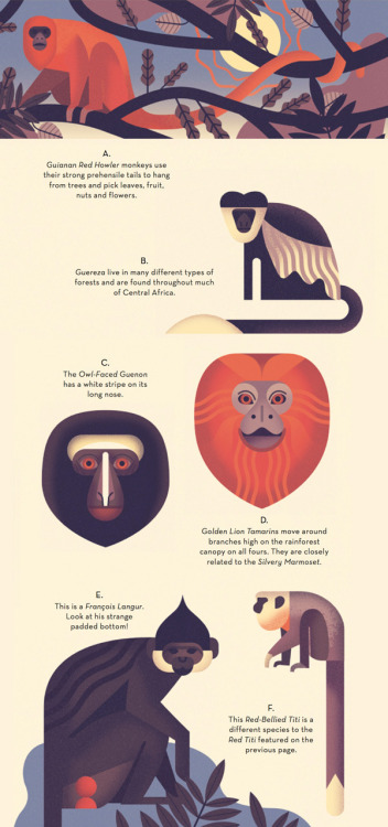 theolduvaigorge: Mad About Monkeys: A Loving Illustrated Encyclopedia of Weird and Wonderful Kindred