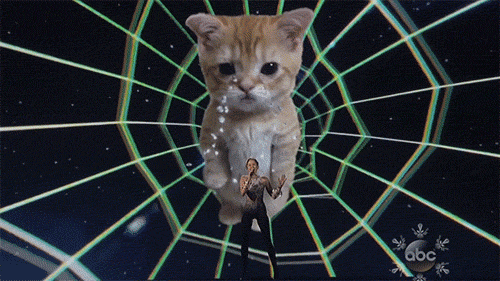 yahooentertainment:  Hello Miley: The American Music Awards — and the Internet