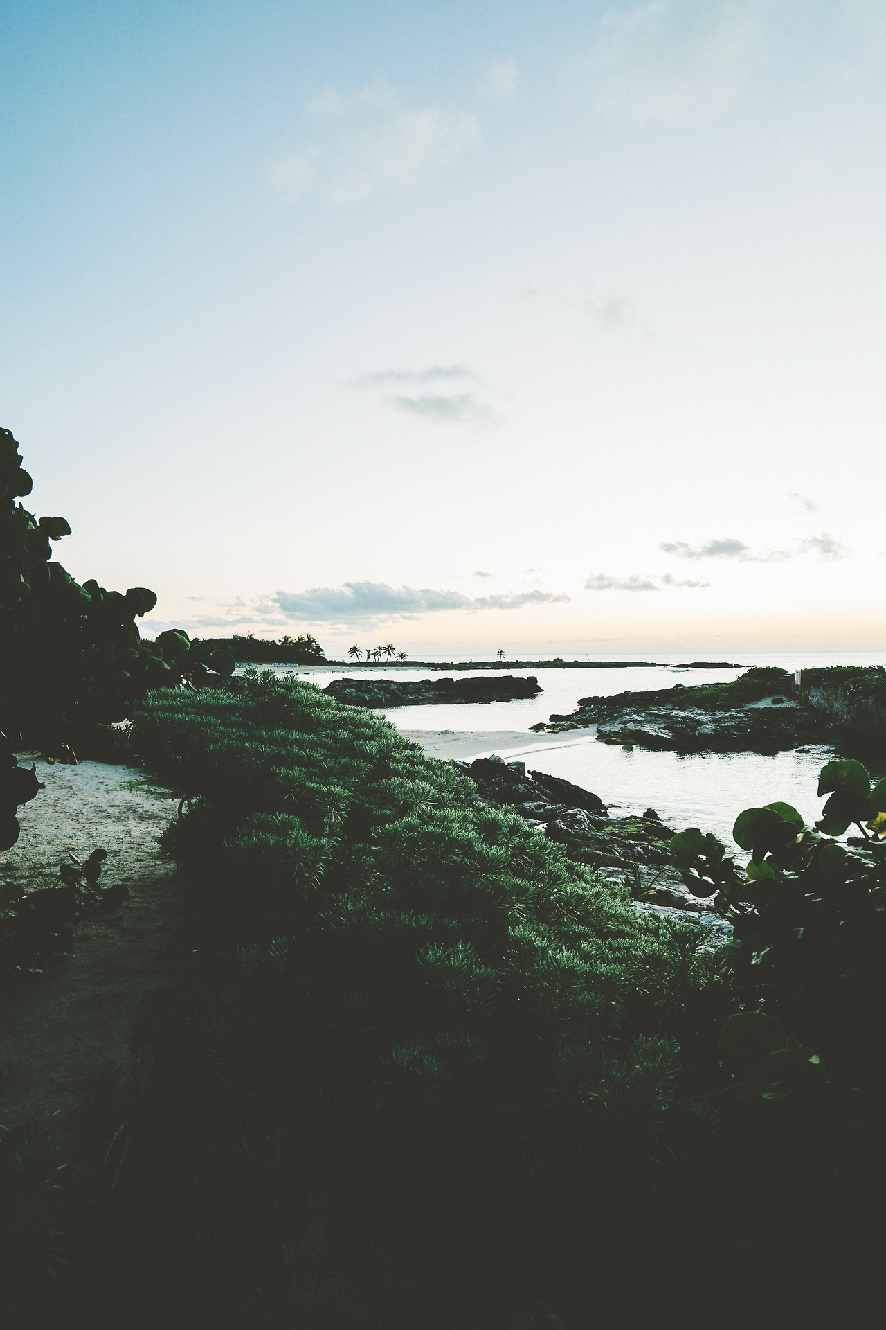 urbanissues:  lagunavibe: Ocean  vertical landscapes