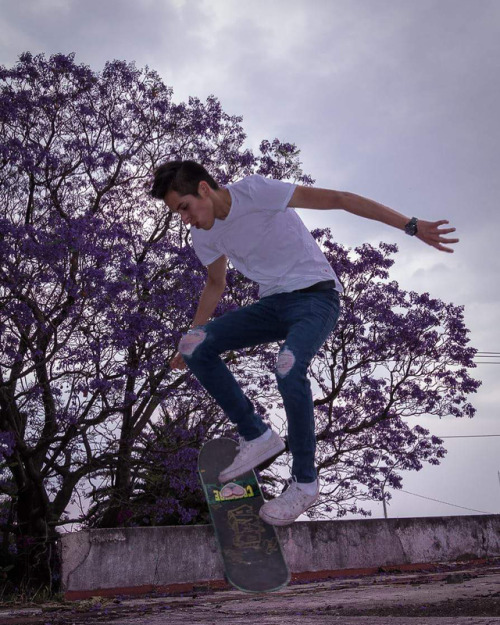 Skaters & jacarandas #marcosalberca #ownexvision #skaters #jacaranda #pasionxpuebla (en Puebla, 