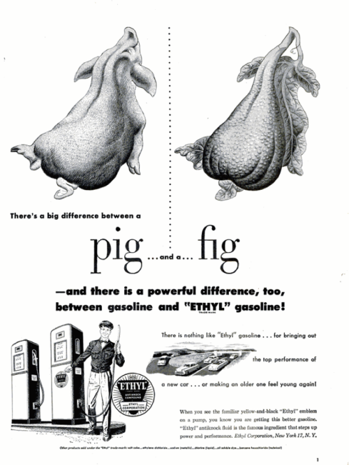 mostlysignssomeportents:Differences between corn and unicorn, brought to you by Ethyl #5yrsgo