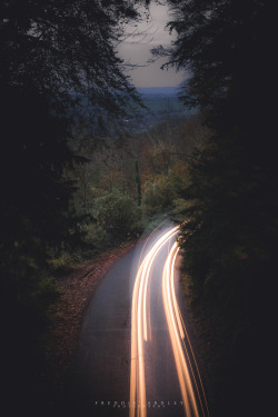 freddie-photography:  &lsquo;Traffic in the Mountain Forests&rsquo; By Freddie Ardley Photography Check out Freddie’s: Instagram Facebook Website