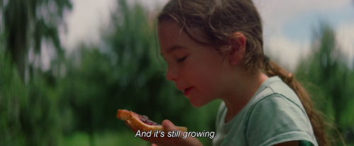 XXX 365filmsbyauroranocte:   The Florida Project photo