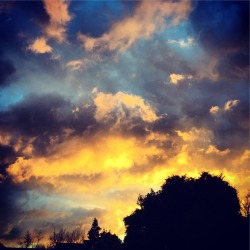 dontforgetchaos:My photography.  Sky fire tonight.  Don’t Forget The Chaos  Wow, looks like fire&hellip;beautiful. GO FOLLOW NOW!