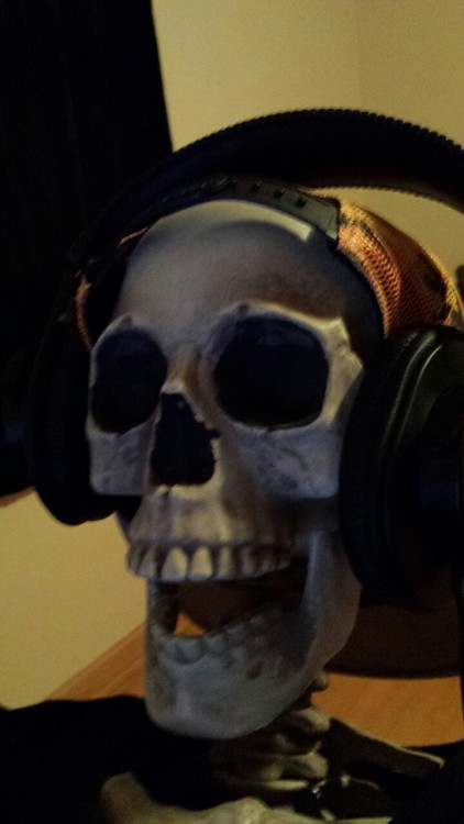 chosen-undead:  THAT’S ME! 