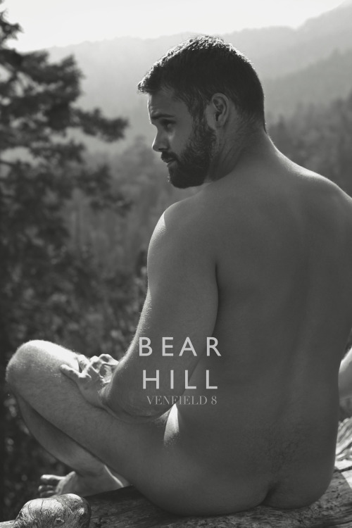 BEAR HILL, 2013  V E N F I E L D 8 My first book - starring the beautiful DAVID LAFLAMME. Order