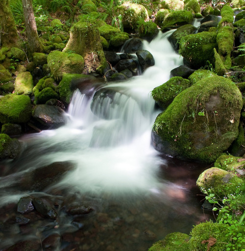 orctober:  dry creek by Darrell Wyatt on Flickr.