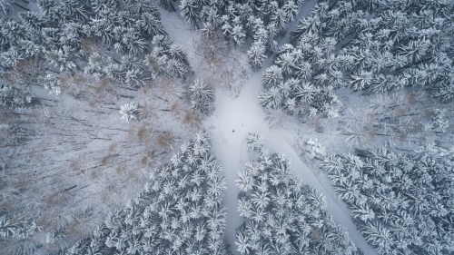 bokehm0n:Winter from above.