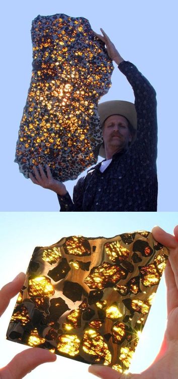 photos-of-space:The Fukang Meteorite Found In China Is 4.5 Billion Years Old And Is Made Of Somethin