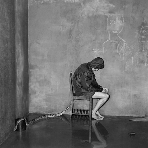 Roger Ballen (American, b. 1950, New York City, NY, USA, based Johannesburg, South Africa) - Bitten,