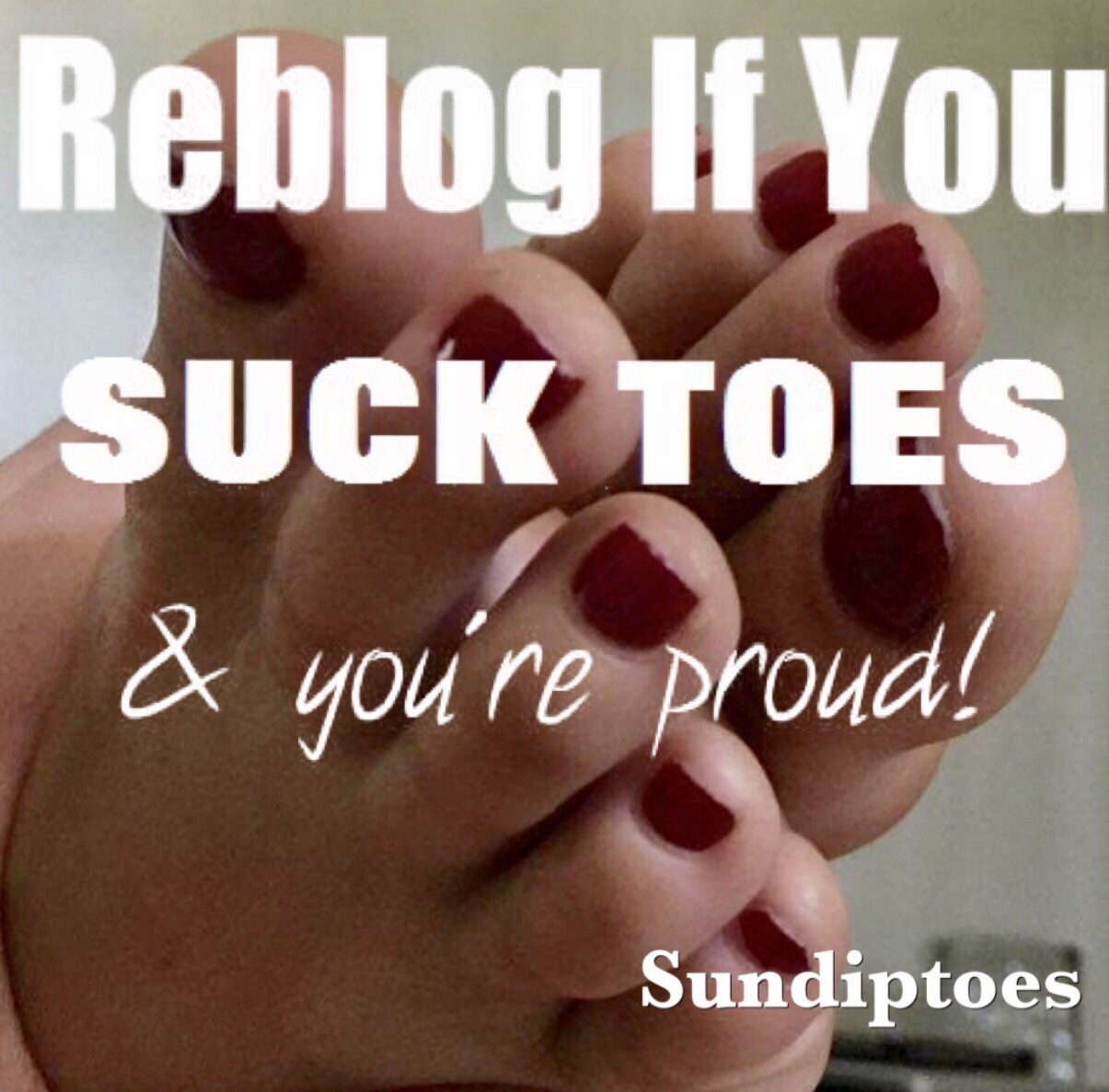sundiptoes:  350