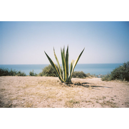 Scala dei Turchi, May 2016 by Jörg Richner