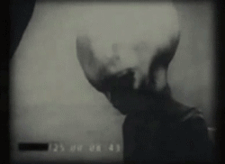 pleiadian-starseed:  they have been here like forever!!! 
