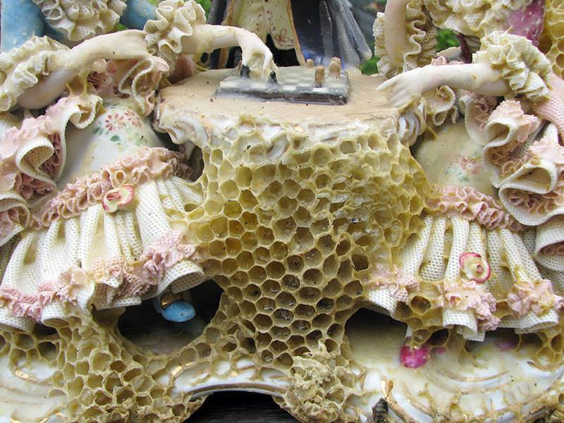 Artist Aganetha Dyck collaborates with bees to create sculptures wrapped in honeycomb