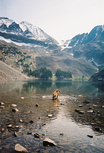 arquerio:  never summer mountains. by kateatstofu on Flickr. 