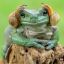 now-playing-on-frogs-spotify