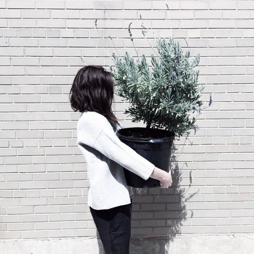 instagram: Balancing Minimalism and Whimsy with @wideeyedlegless For more of Madelynn’s beautifully 