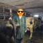 melker78