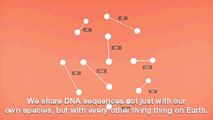 coolsciencegifs:  zerostatereflex: What is DNA? 