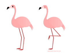 Saradrawsdaily:two Flamingos.