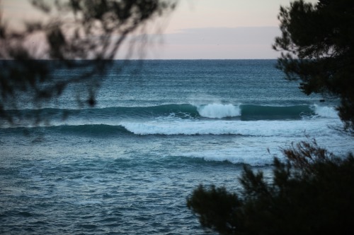 markfishnest:  Winter mediterranean swell.South of France. 