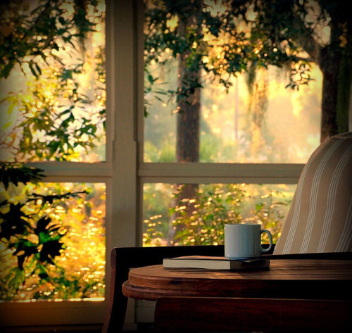 A book, a cup of coffee, sunshine coming through the window…. And thoughts of what a special 