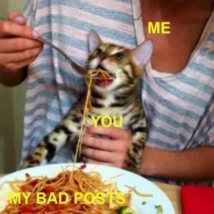 godfatherofgreenbay:  Pretty accurate description of everything I’ve posted tonight.