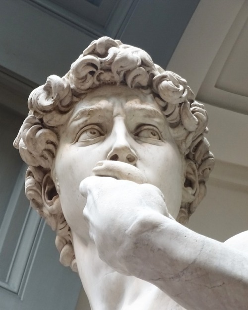 lararosemary:David by Michelangelo Galleria dell'Accademia, Florence, Italy