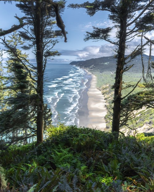 amazinglybeautifulphotography:Oregon Coast. [3674 × 4593] [OC] - Author: Abraxas89 on reddit