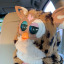 distroughtfurby