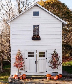 oldfarmhouse:
“🍂🍁🌾
Becki Owens on Instagram: “One of my favorite fall images I have seen! Also this weeks favorite finds are up on the blog. Have a great weekend! Image via…”@oldfarmhouse@tumblr
”