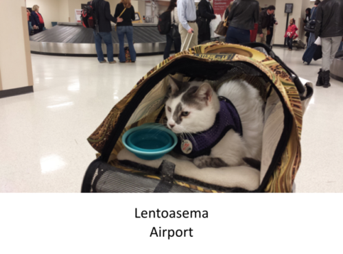 According to eDreams’ ranking, Helsinki-Vantaa Airport is the best airport in the world. Nice!