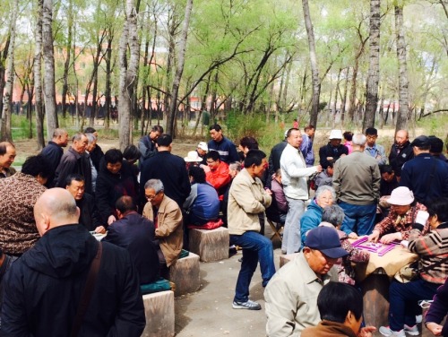 Card games in the park in Hegang, China