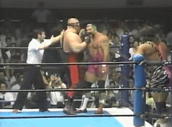wrestlingchampions:  Champion vs. Champion: The Steiner Brothers (WCW World Tag Team) d. Big, Bad and Dangerous (IWGP Tag Team) to  win the IWGP Tag Team Championship - NJPW Masters of Wrestling 1992 