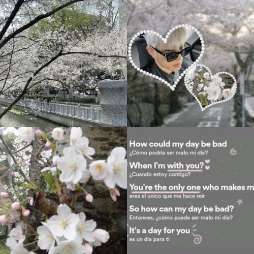 LoveMeForMe @sulvy