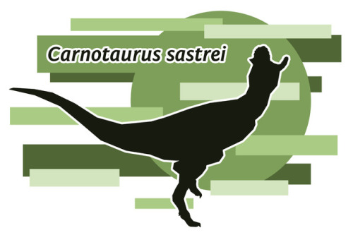 Today it’s Minimalist Dinosaurs: Theropod Edition (plus one primitive sauropodomorph)I love making t