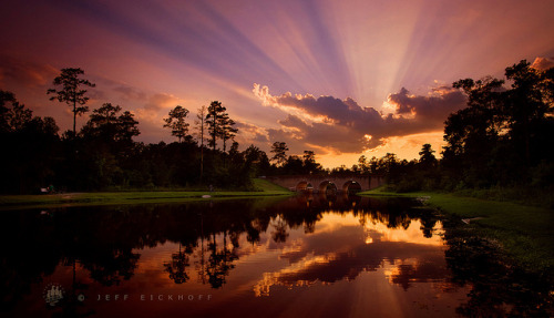 Tobacco Sunset by Jeff Eickhoff on Flickr.