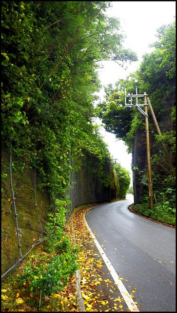 THE WAITUI CUT on KATSUREN PENINSULA, OKINAWA