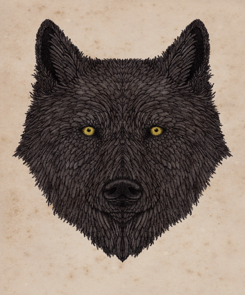 johnstortz:  The Look