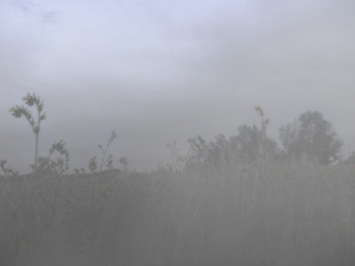 akapale:  foggy/pale