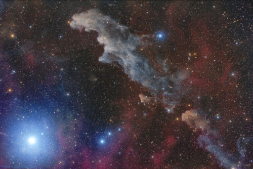 Rigel and the Witch Head Nebula by Mario Cogo