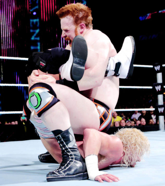 The Celtic Warrior